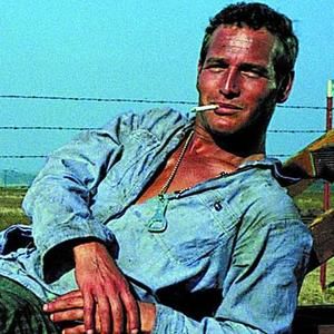 Meet your Posher, Bobby